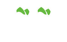 Mountain Vien Optometry Logo